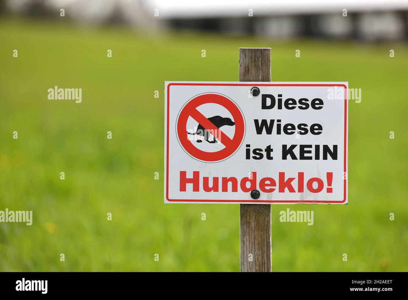 Schild 'Diese Wiese ist kein Hundeklo' in Salzburg, Österreich, Europa - Schild 'Diese Wiese ist keine Hundetoilette' in Salzburg, Österreich, Europa Stockfoto