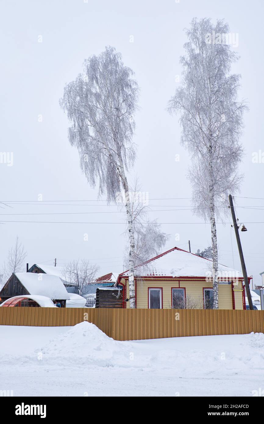 NOWOSIBIRSK, RUSSLAND - 03. MÄRZ 2015: Sibirisches Privathaus mit Zaun und Birken unter Schnee Stockfoto