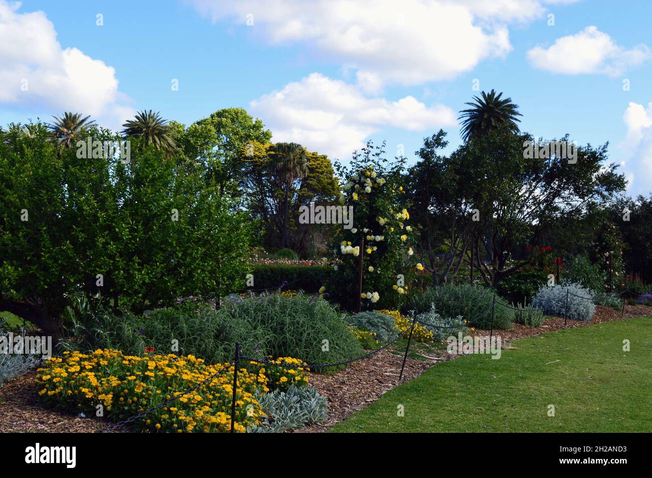 Gartenbetten im Centennial Park, Sydney Stockfoto