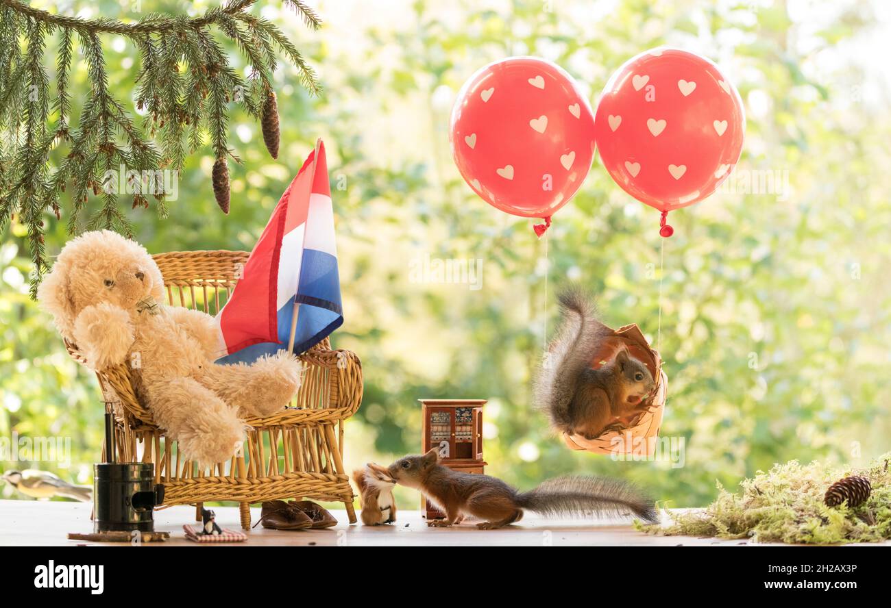 Rote Eichhörnchen im Ballon und mit dem Bären auf der Bank Stockfoto
