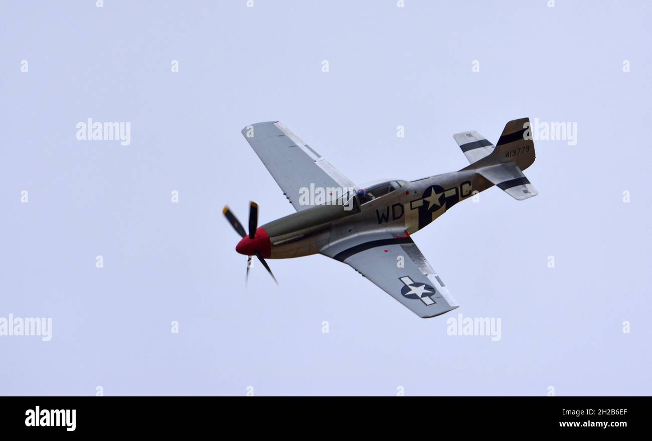 LITTLE GRANSDEN, CAMBRIDGESHIRE, ENGLAND - 29. AUGUST 2021: Alte nordamerikanische P-51 Mustang Flugzeuge im Flug. Stockfoto