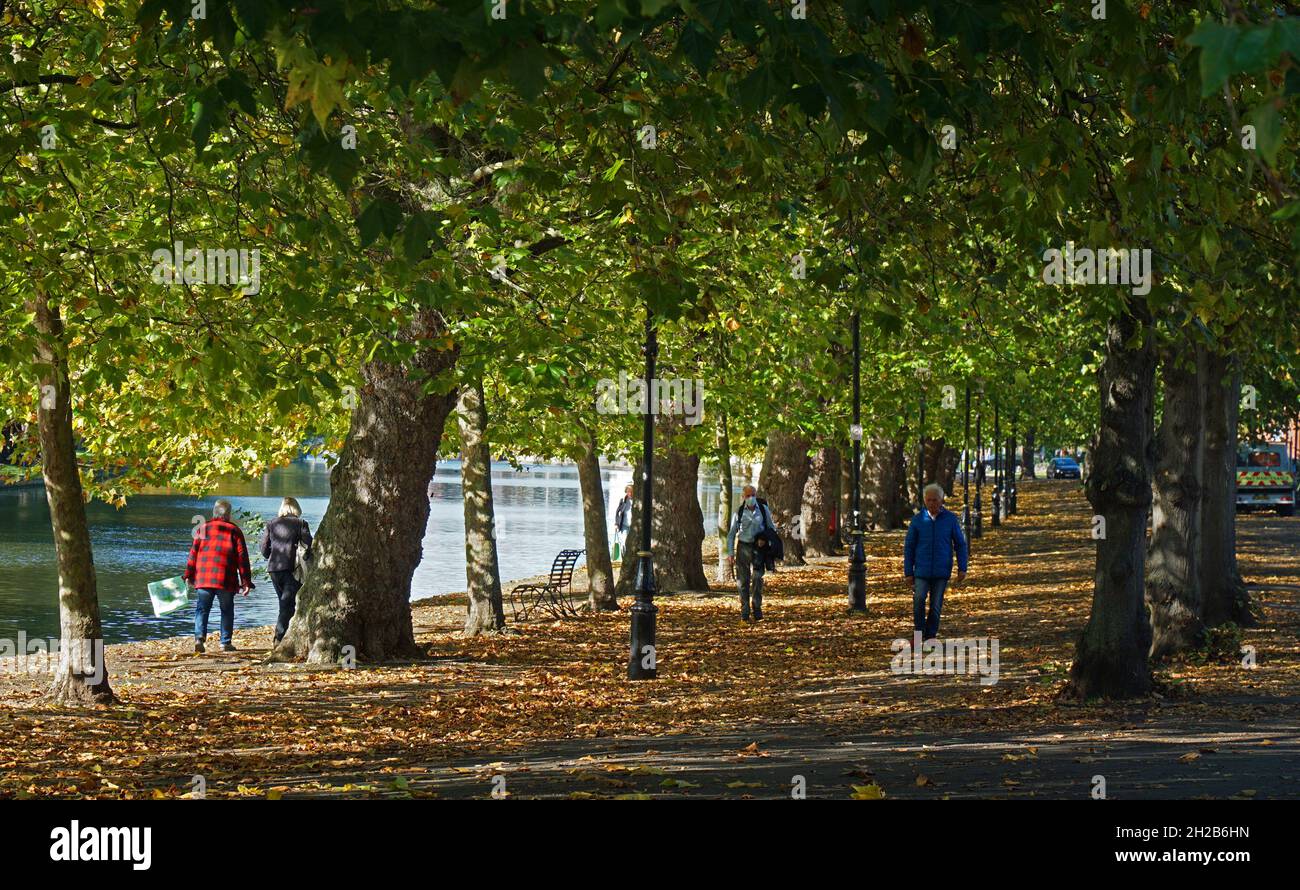 Bäume entlang des Bedford-Damms mit Menschen, die gehen. Stockfoto