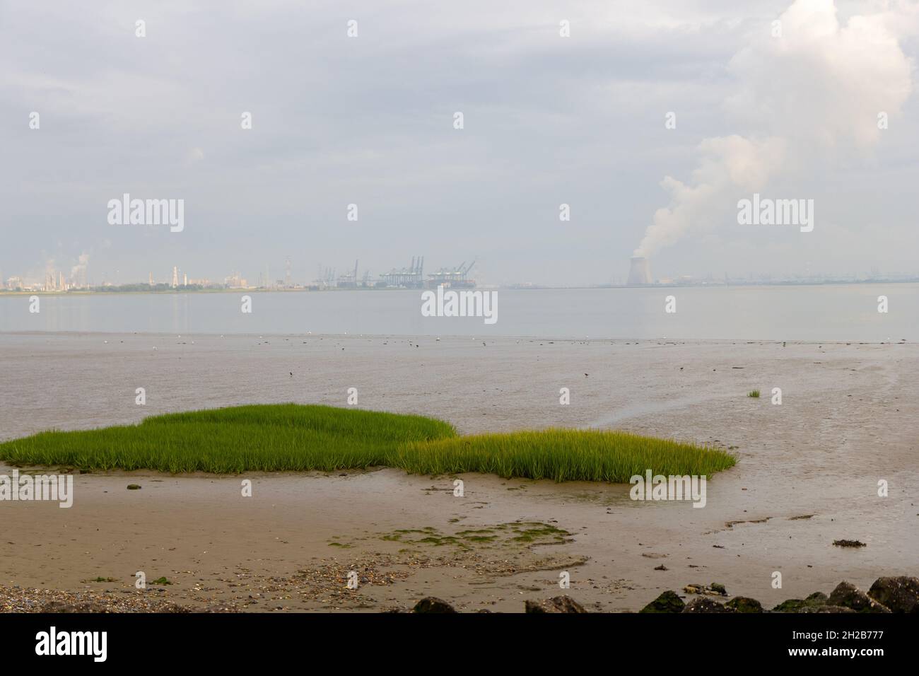 Antwerpener Hafen am Horizont sichtbar Stockfoto