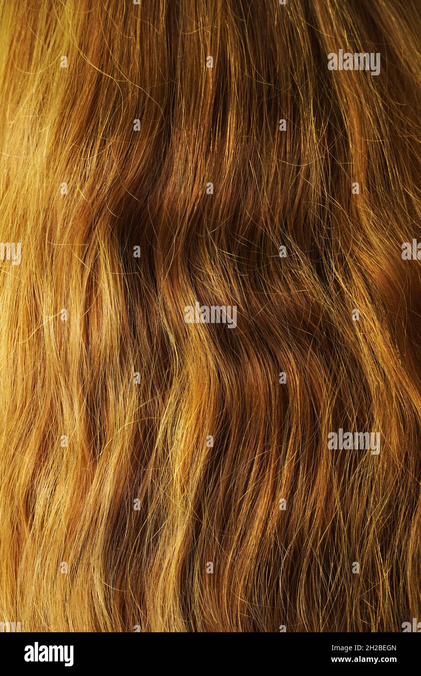 Lange natürliche wellige braune Haare. Rückansicht. Stockfoto