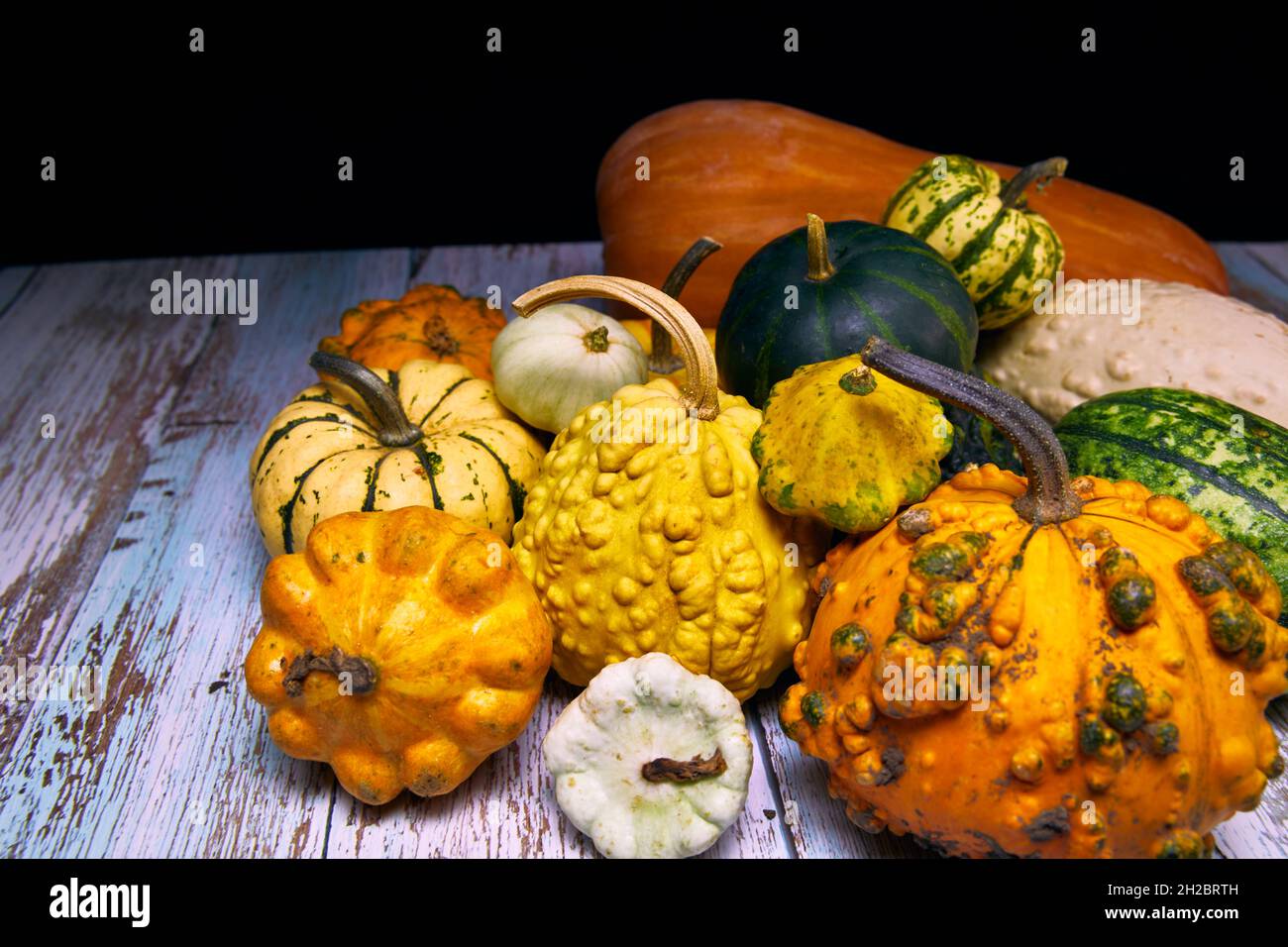Herbstzusammensetzung von buntem Gemüse in der Erntezeit. Kürbis, Zucchini, Rüben. Farbe, Vollformat. Stockfoto
