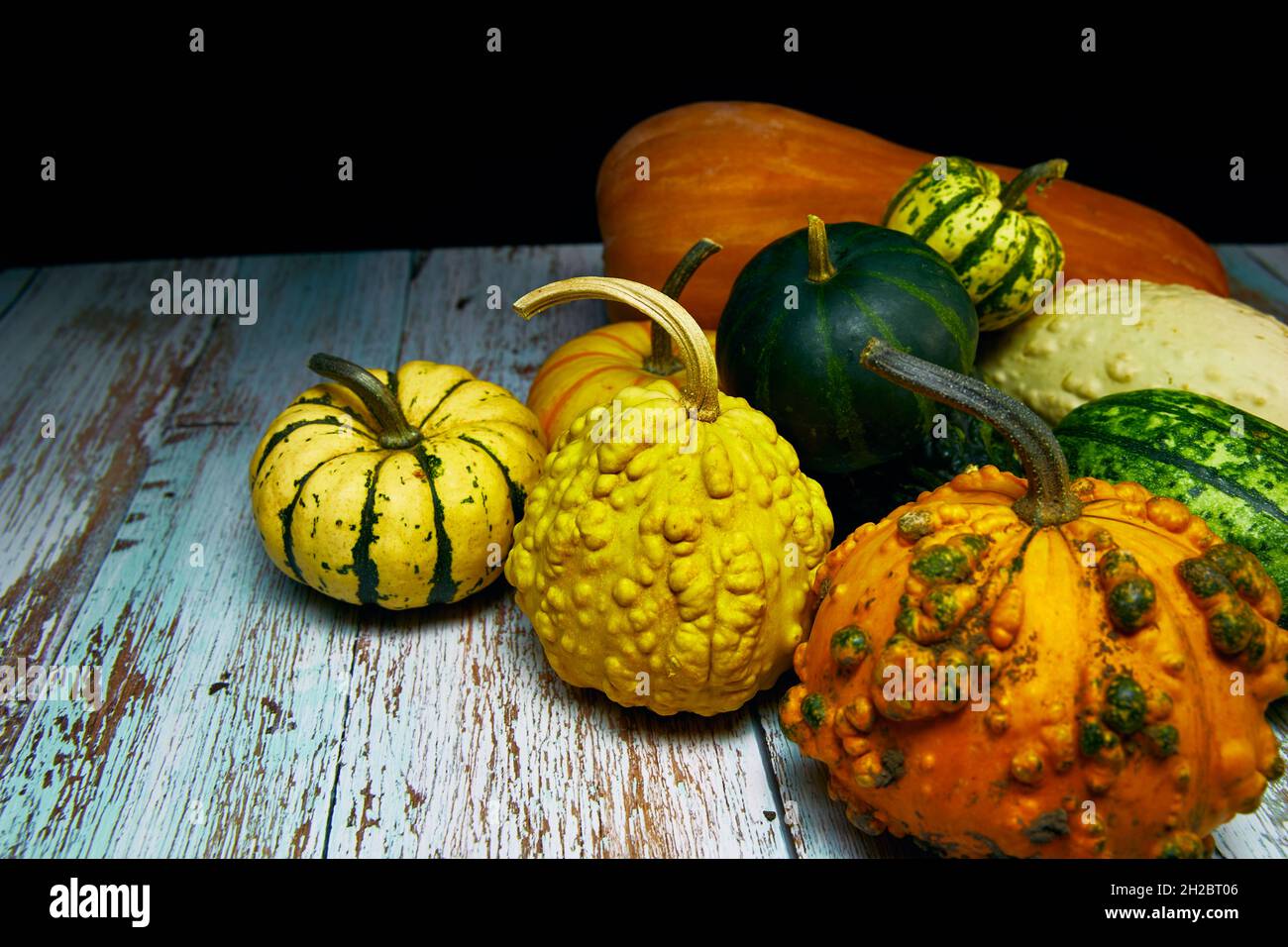 Zusammensetzung von bunten Gemüse in der Erntezeit . Kürbis, Zucchini, Rüben. Farbe, Vollformat. Stockfoto