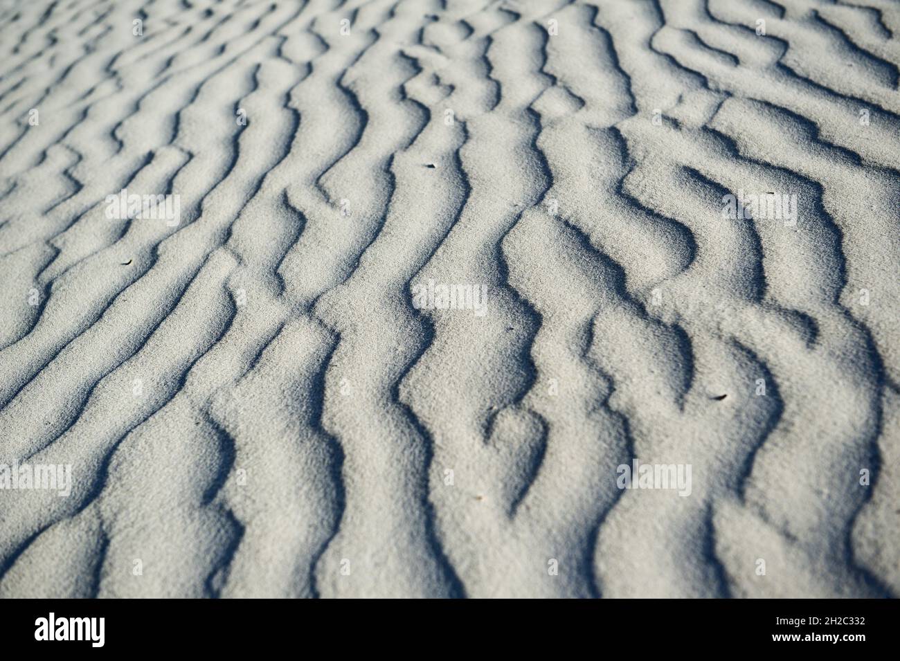 Wellenkarben auf einer Düne im Nambung National Park, Australien, Western Australia, Nambung Nationalpark Stockfoto