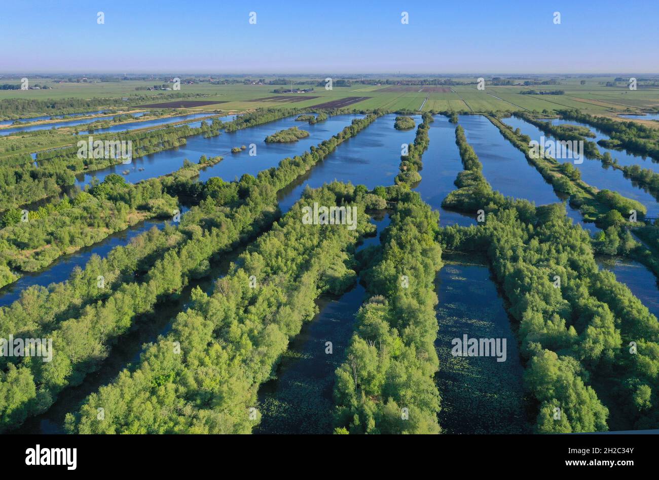 Niedermoor in der Nähe von Tjalleberd, früher für die Torfgewinnung
