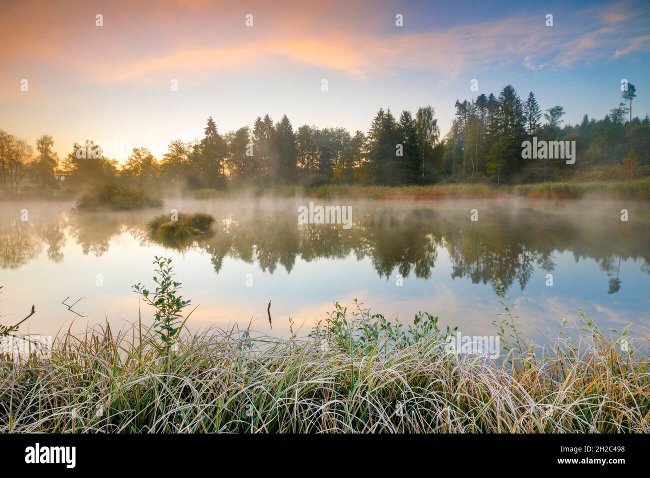 Morgenstimmung mit Reif an einem Teich im Naturschutzgebiet Wildert im Herbst, Schweiz, Illnau Stockfoto