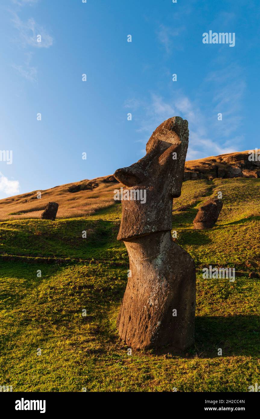 Moai-Statue auf Rano Raraku. Rapa Nui, Osterinsel Chile Stockfoto