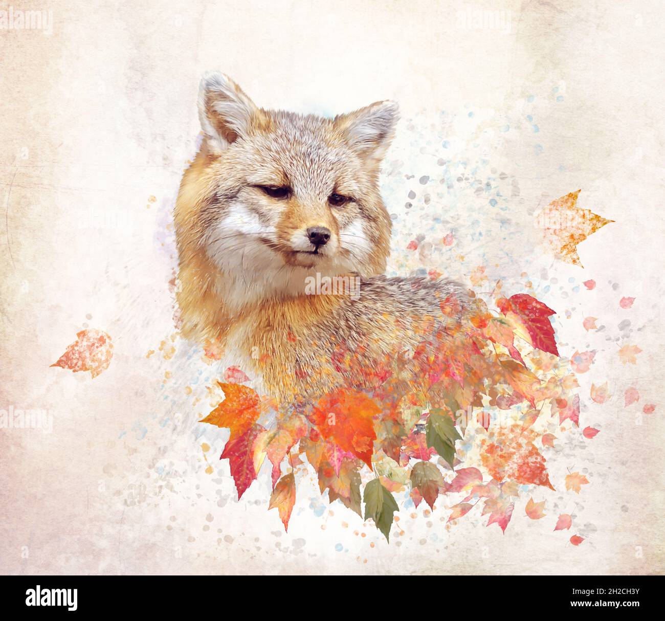 Roter Fuchs mit Herbstblättern, Aquarell.Digitale Illustration Stockfoto