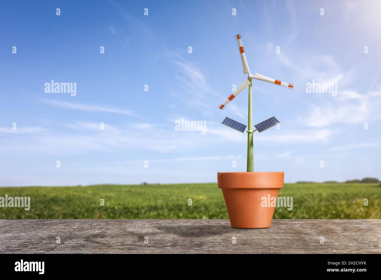 Konzept zur Erzeugung erneuerbarer Energien - Windkraftanlage als Pflanze in einem Blumentopf Stockfoto