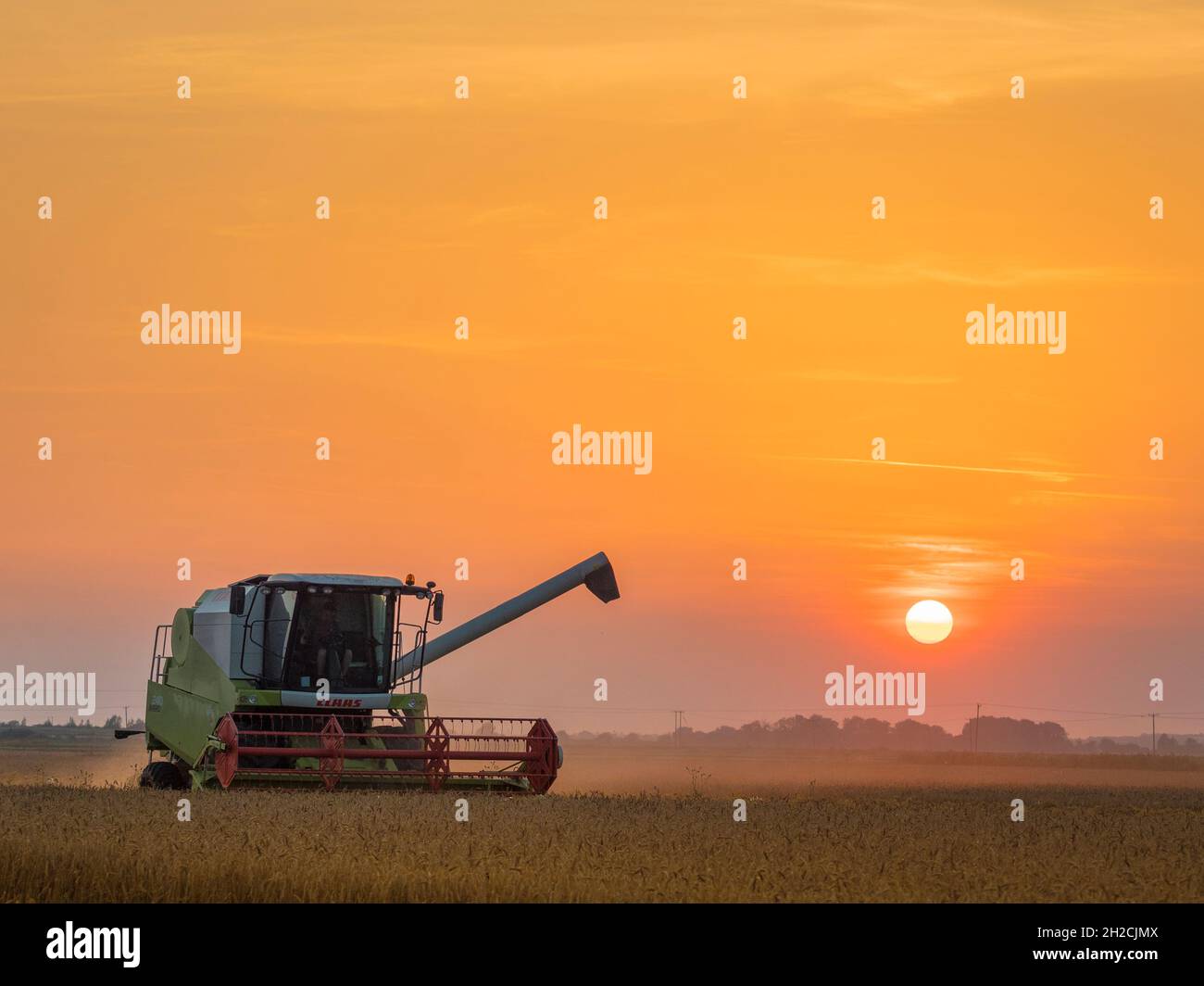 Mähdrescher im Weizenfeld bei Sonnenuntergang, Cambridgeshire, England Stockfoto