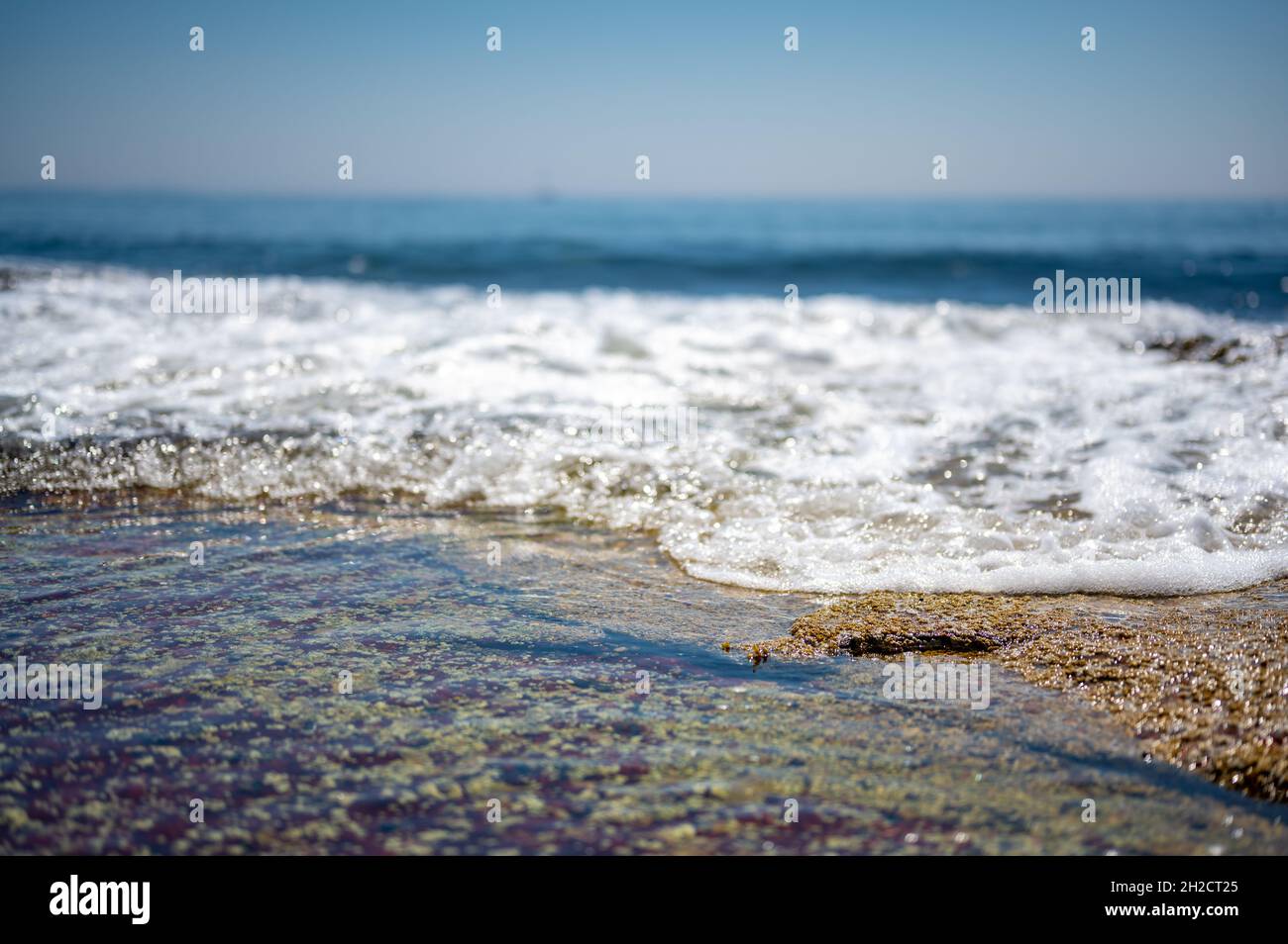 Gezeitenerfrischende Pools am Strand des Wonderland Trail Acadia National Park Stockfoto