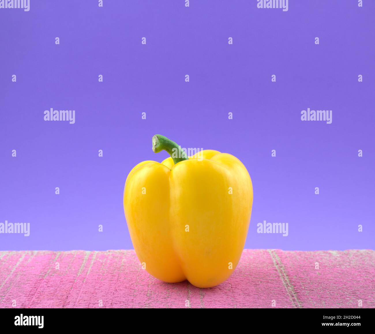 Bio hellgelbe Paprika farbenfroher Veggie auf grunge rosa Zementplatte vor blauem Hintergrund. Stillleben, Bildende Kunst, modernes Konzept. Stockfoto