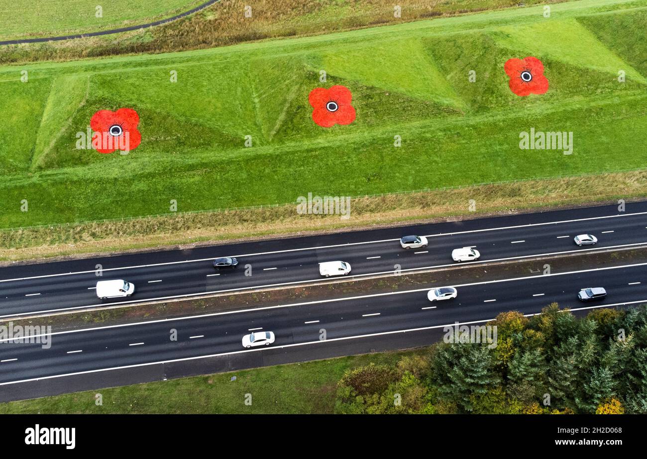 Anlässlich der Einführung des PoppyScotland-Appells von 2021 und dem Beginn der Gedenkzeit wurden riesige Mohnblumen auf die Graspyramiden entlang der Autobahn M8 in der Nähe von Bathgate gemalt. Bilddatum: Donnerstag, 21. Oktober 2021. Stockfoto