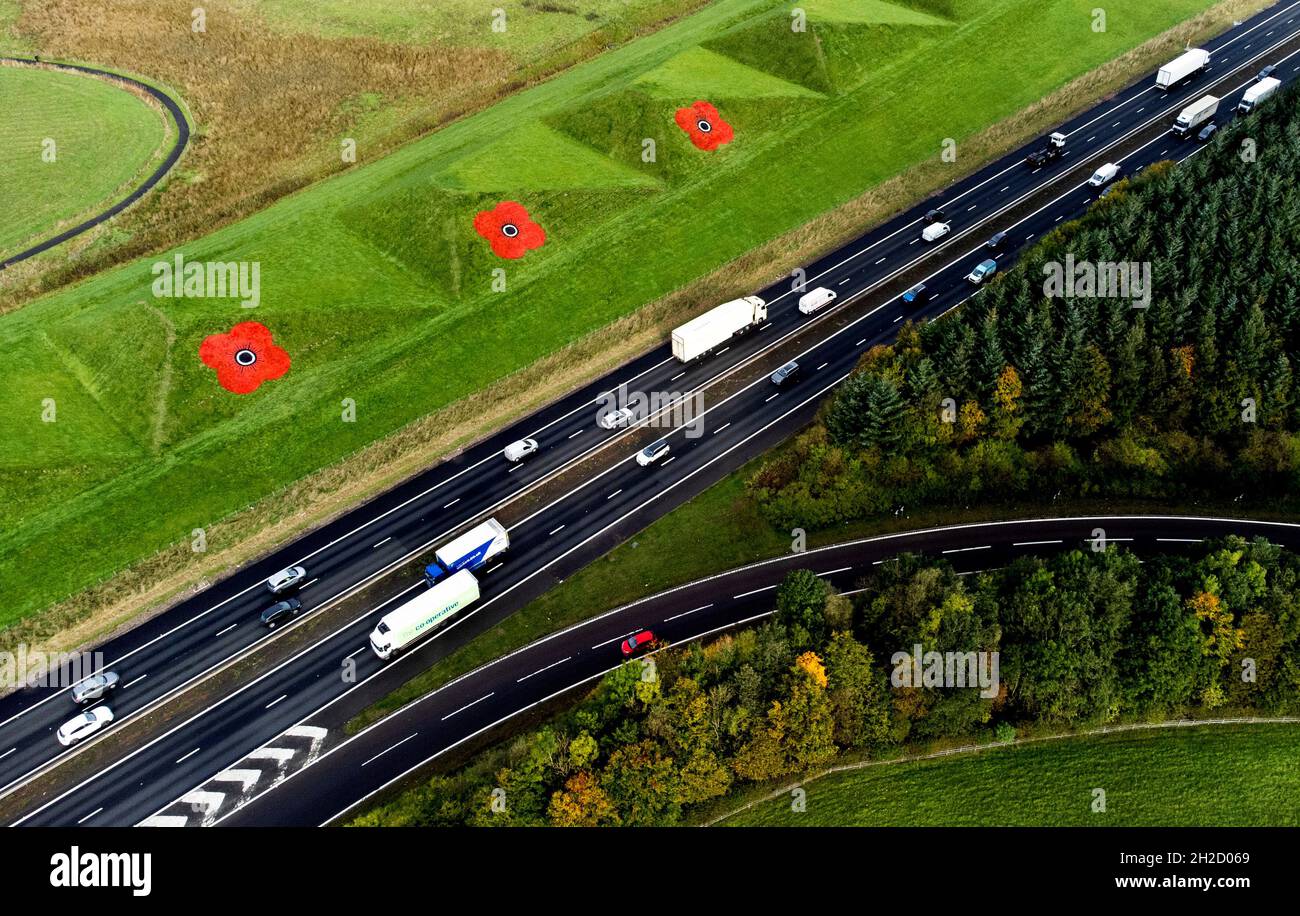 Anlässlich der Einführung des PoppyScotland-Appells von 2021 und dem Beginn der Gedenkzeit wurden riesige Mohnblumen auf die Graspyramiden entlang der Autobahn M8 in der Nähe von Bathgate gemalt. Bilddatum: Donnerstag, 21. Oktober 2021. Stockfoto