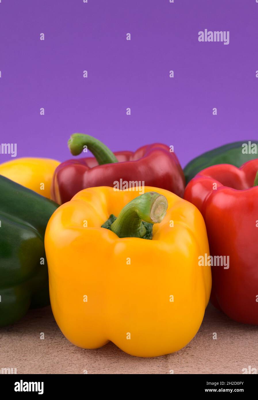 Bunte Paprika, Gemüse auf Grunge-Zement vor blauem Hintergrund. Stockfoto