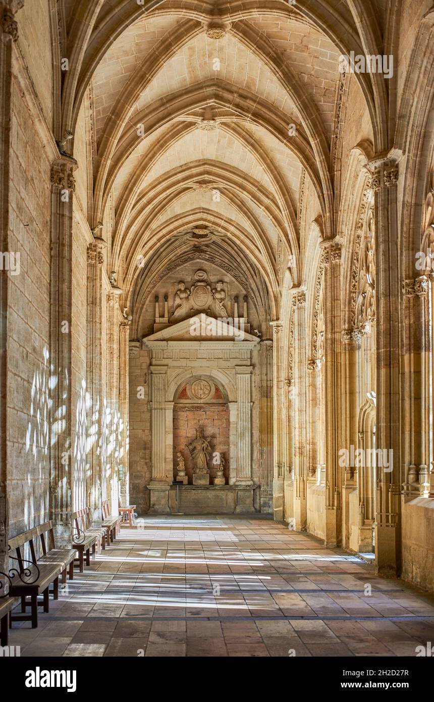 Kathedrale Von Segovia. Segovia, Kastilien und Leon, Spanien. Stockfoto