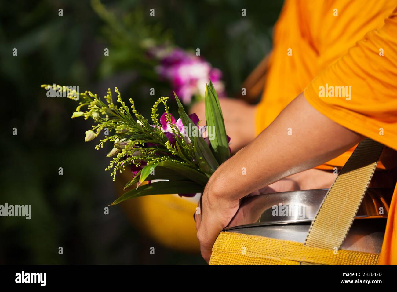 Die Hände buddhistischer Mönche aus der Nähe erhalten während ihrer Almosen am Morgen Nahrung und Blumen. Religion, Kultur, Lebensstil. Konzentrieren Sie sich auf Blumen. Stockfoto