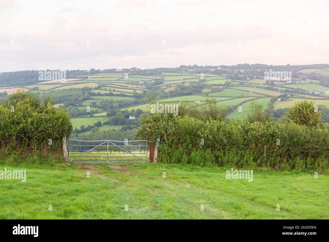 Blick auf Ackerland von High Bickington Dorf, Devon , England, Vereinigtes Königreich. Stockfoto