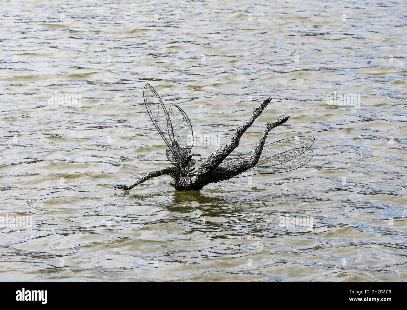 Eine Drahtskulptur einer Fee, die in den See bei Trentham Gardens, Stoke-on-Trent, Staffordshire, England, Großbritannien, taucht Stockfoto Eine Drahtskulptur einer Fee, die in den See bei Trentham Gardens, Stoke-on-Trent, Staffordshire, England, Großbritannien, taucht Stockfoto