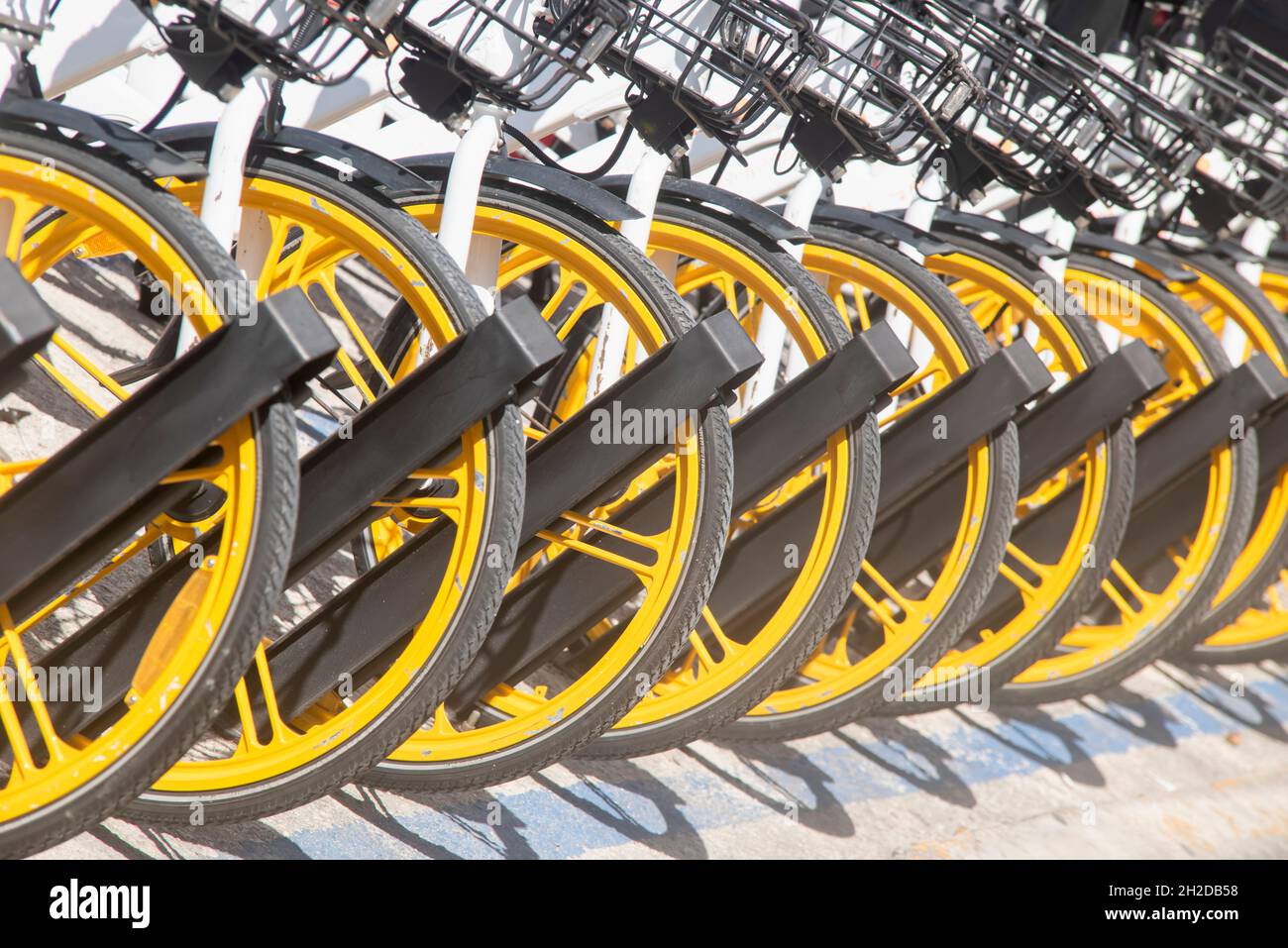 Nahaufnahme einer Reihe geparkter Fahrräder. Reihe von geparkten bunten Fahrrädern. Verleih von gelben Fahrrädern. Stockfoto