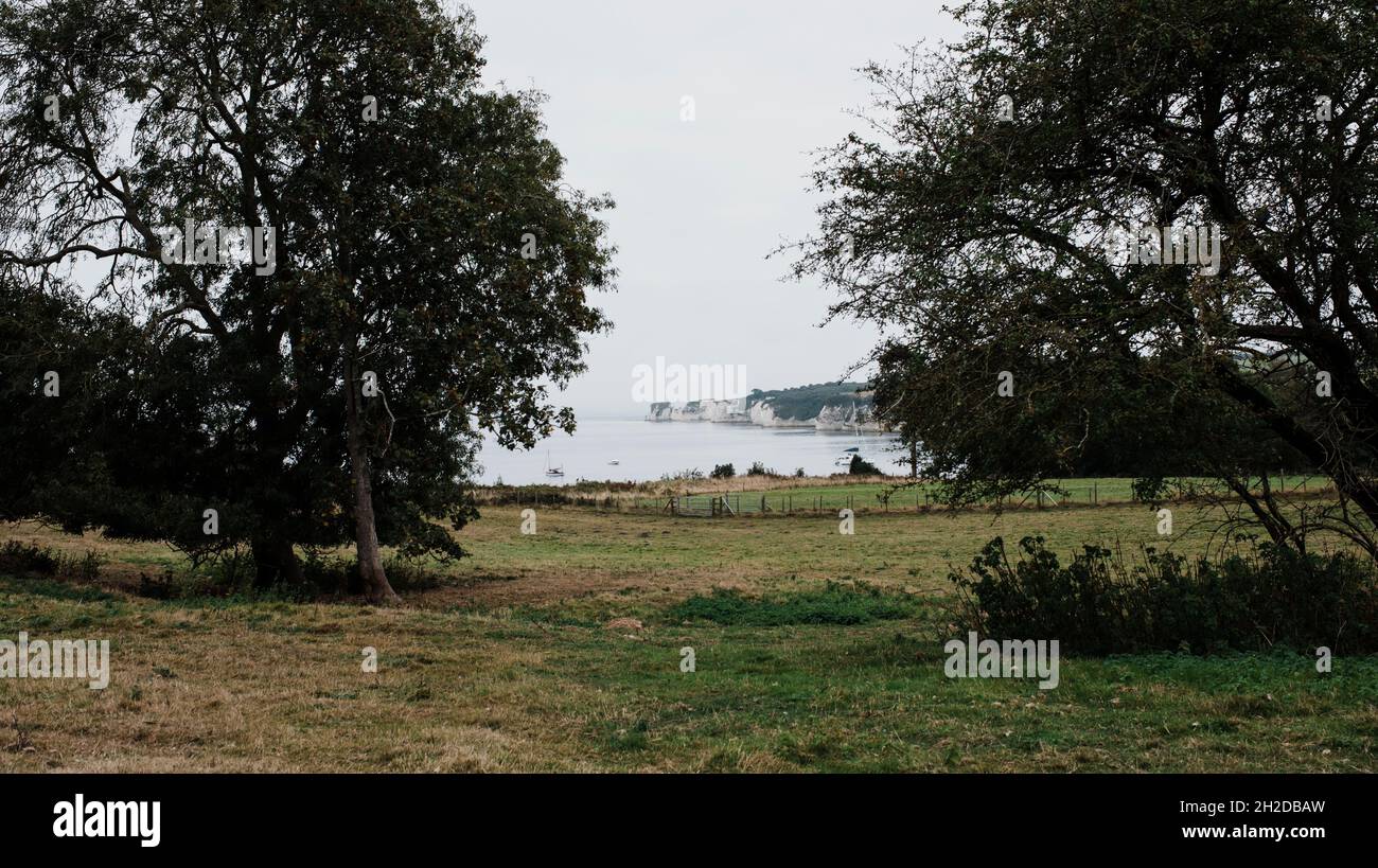 Blick auf Old Harry Rocks durch einige Bäume vom Pig Hotel Stockfoto