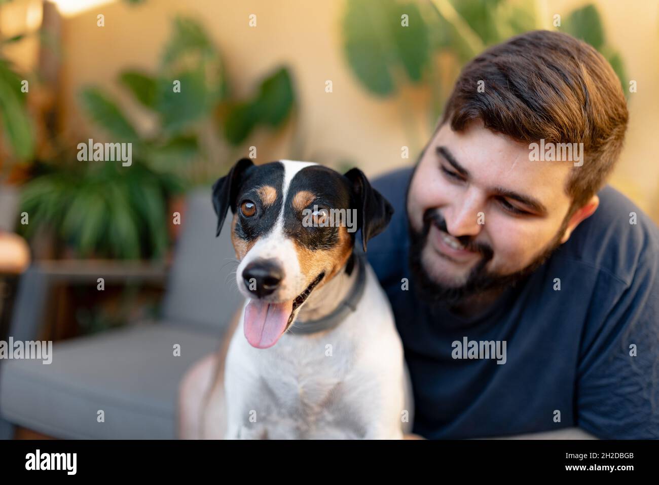 Der freundliche junge Mann umarmt seinen niedlichen Lebensmittelhund mit beiden Händen, während er ihn anschaut, der Hund hat die Zunge heraus, während er die Kamera anschaut Stockfoto