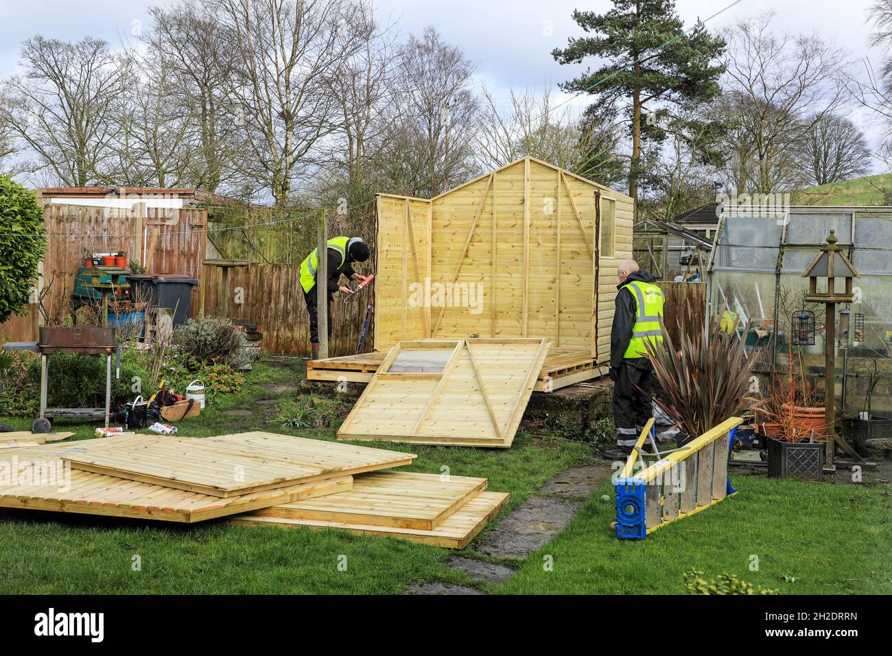 Arbeiter von Solid Sheds Ltd errichten einen Holzschuppen in einem Hausgarten, Stoke on Trent, Staffordshire, England, Großbritannien. Foto Nummer 3 in einer Serie von 8 Stockfoto