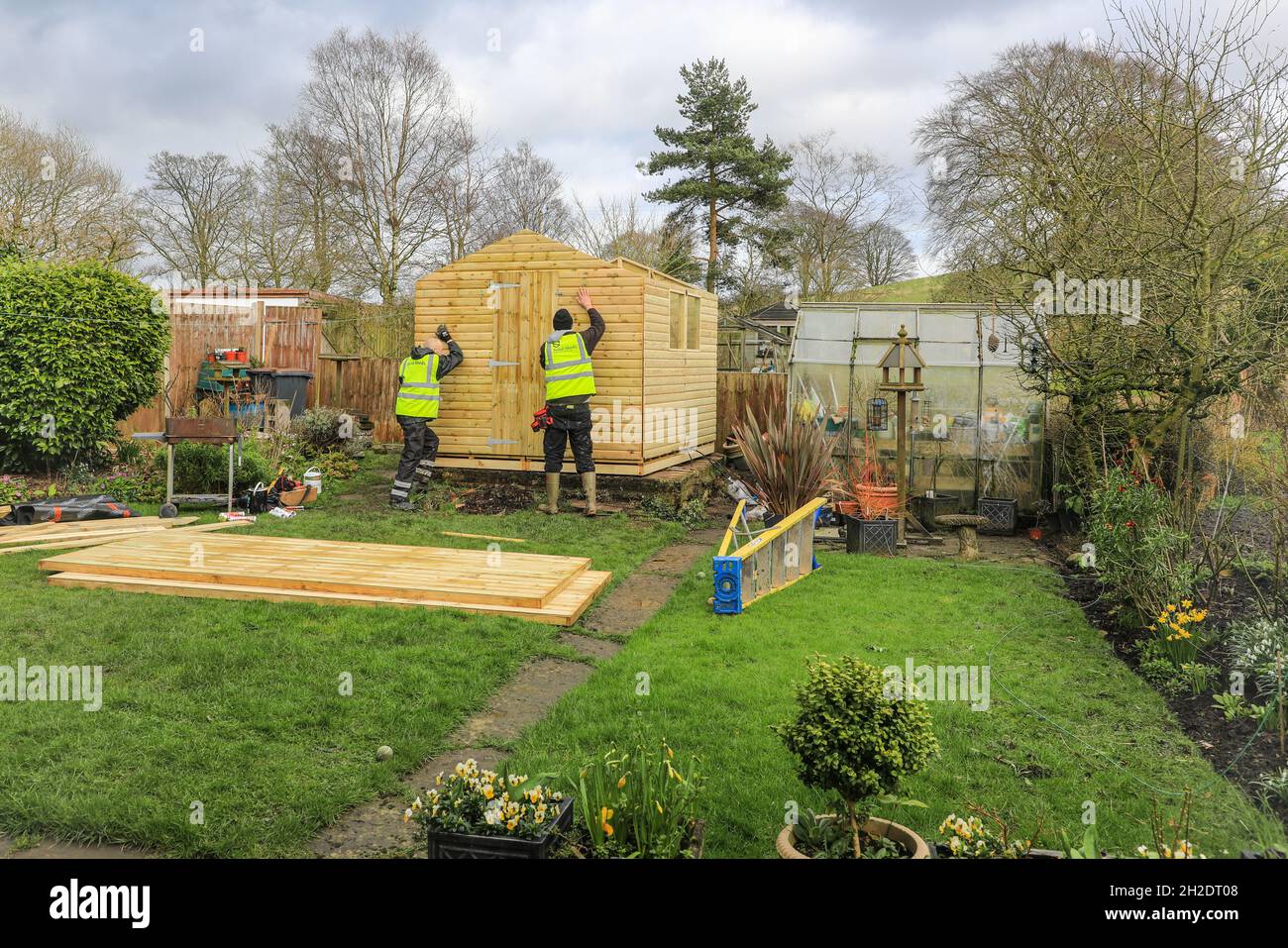 Arbeiter von Solid Sheds Ltd errichten einen Holzschuppen in einem Hausgarten, Stoke on Trent, Staffordshire, England, Großbritannien. Foto Nummer 5 in einer Serie von 8 Stockfoto