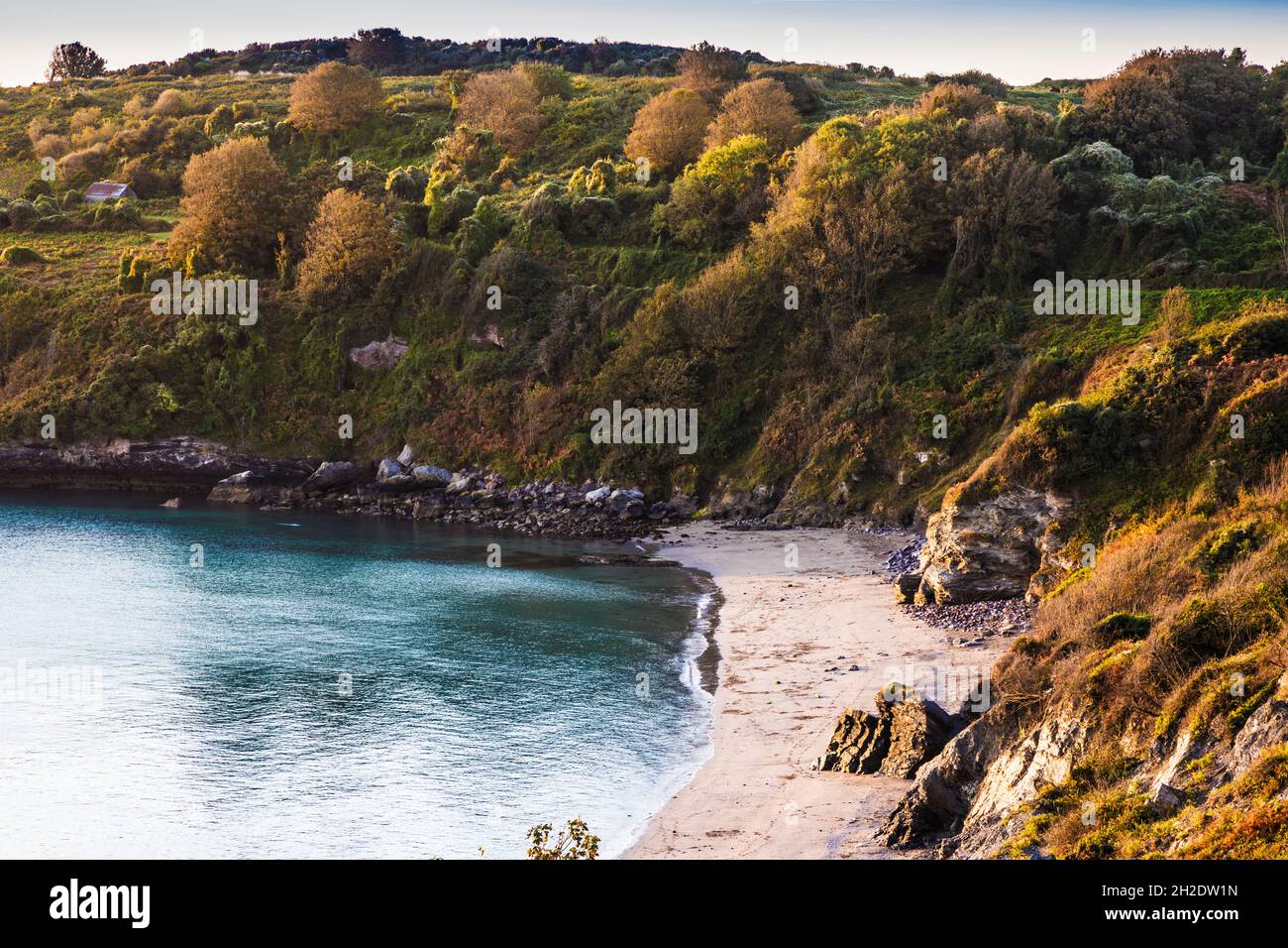 Am frühen Morgen fällt Licht auf die St. Mary's Bay im Süden von Devon. Stockfoto