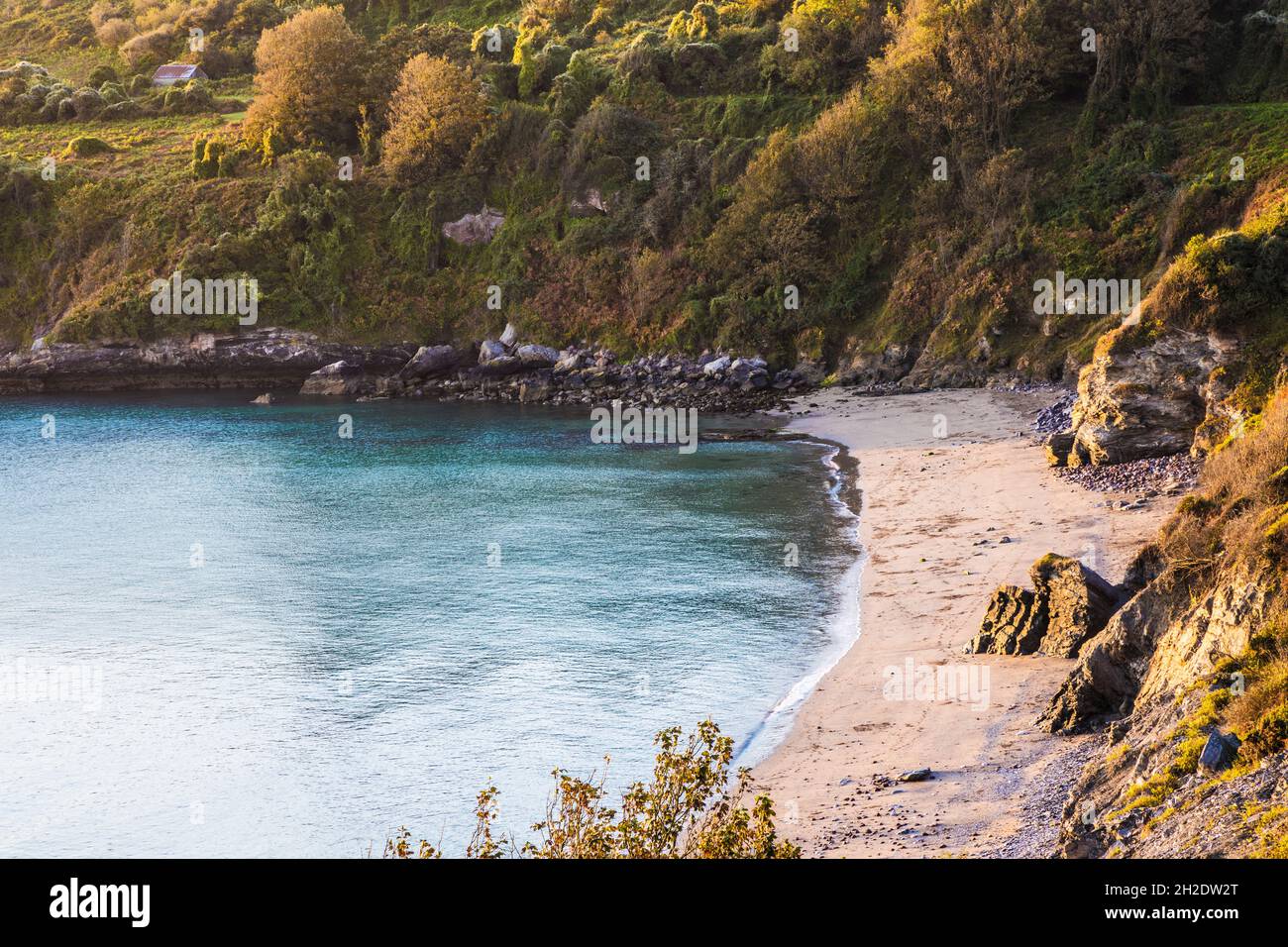 Am frühen Morgen fällt Licht auf die St. Mary's Bay im Süden von Devon. Stockfoto
