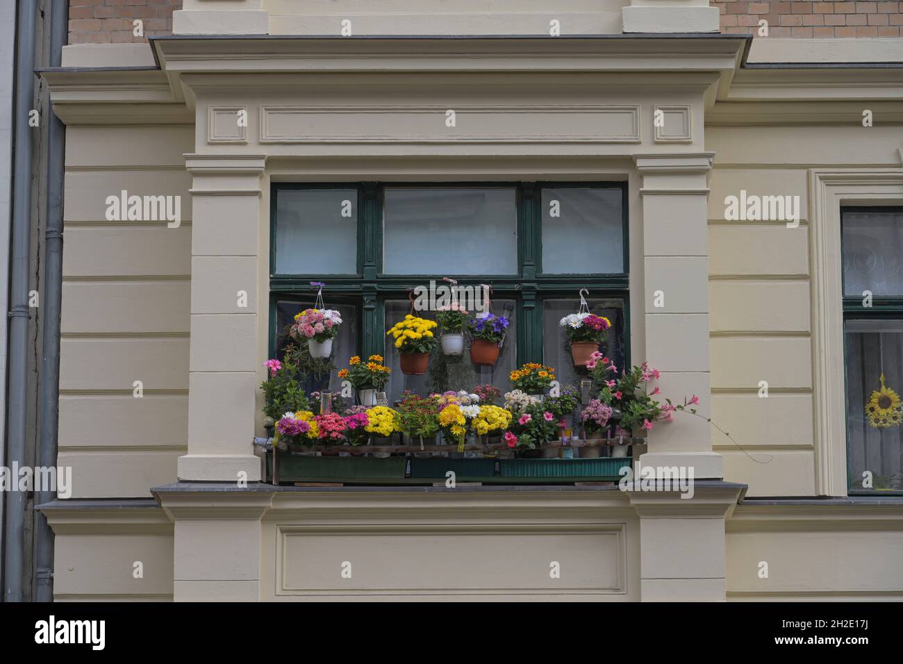 Balkon, Blumen, Kolonnenstraße, Schöneberg, Tempelhof-Schöneberg, Berlin, Deutschland Stockfoto