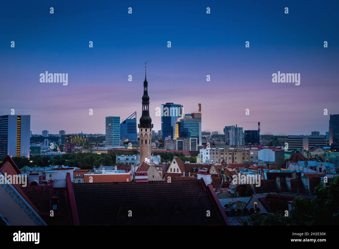 Skyline von Tallinn bei Sonnenuntergang mit Rathausturm und den modernen Gebäuden des Stadtzentrums im Hintergrund - Tallinn, Estland Stockfoto