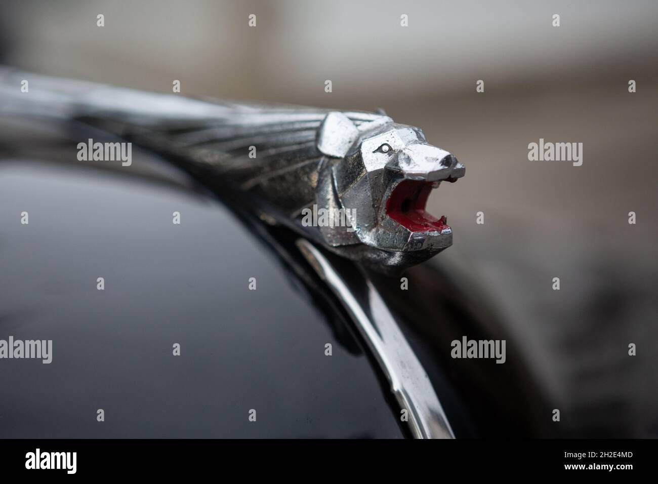 Reocin, Kantabrien, Spanien - 2. Oktober 2021: Ausstellung klassischer Fahrzeuge. Der Peugeot 203 ist ein Auto, das der französische Hersteller zwischen 1948 produziert hat Stockfoto