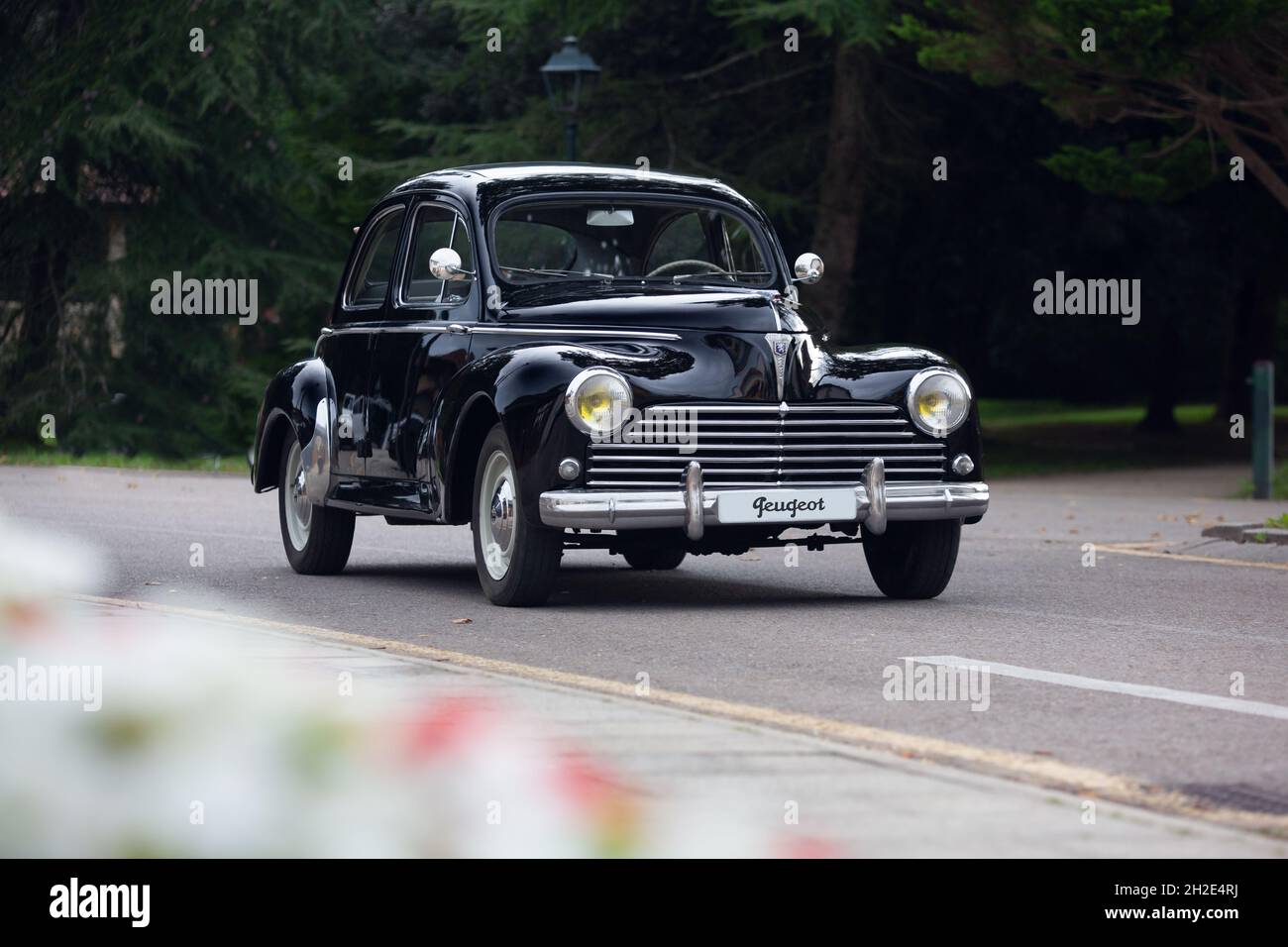 Reocin, Kantabrien, Spanien - 2. Oktober 2021: Ausstellung klassischer Fahrzeuge. Der Peugeot 203 ist ein Auto, das der französische Hersteller zwischen 1948 produziert hat Stockfoto