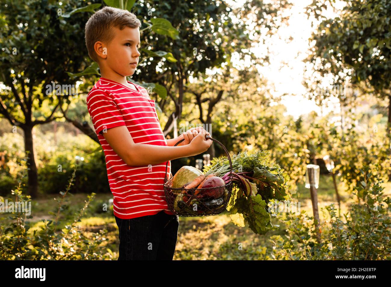 Der kleine Bauer hält einen Korb mit frischem Gemüse Stockfoto