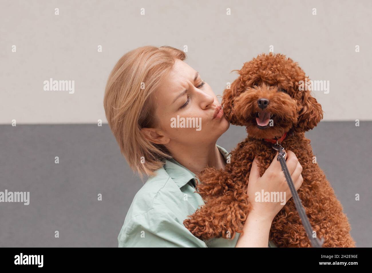 Portrait blonde Frau umarmt lockig Spielzeug Pudel Stockfoto