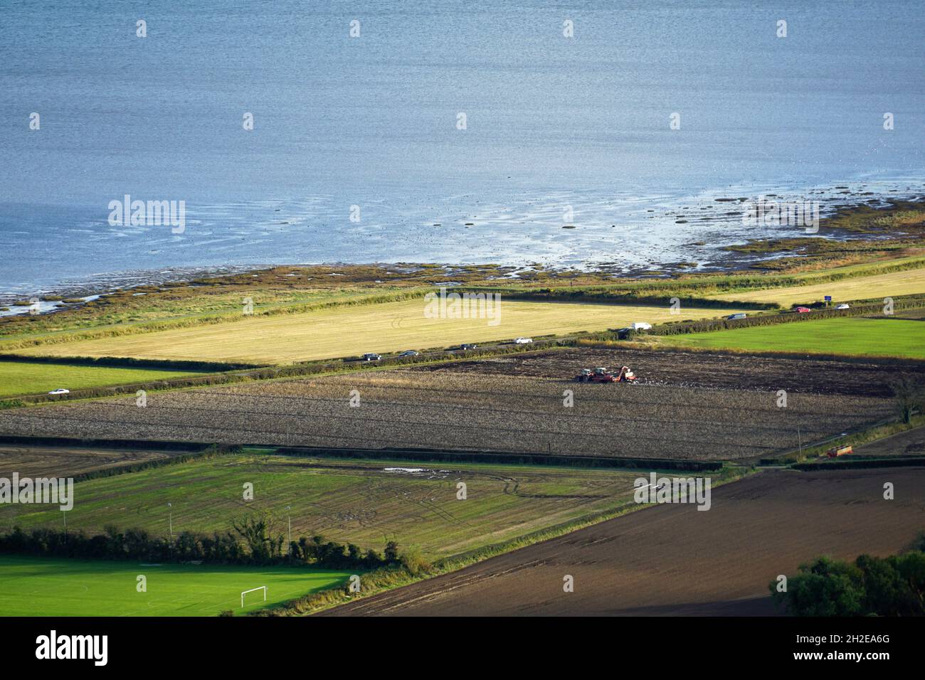 Irische Kartoffelernte. Luftaufnahme der Kartoffelfelder in der Nähe von Comber in der Grafschaft Down, Nordirland. 29.10.2019 Stockfoto
