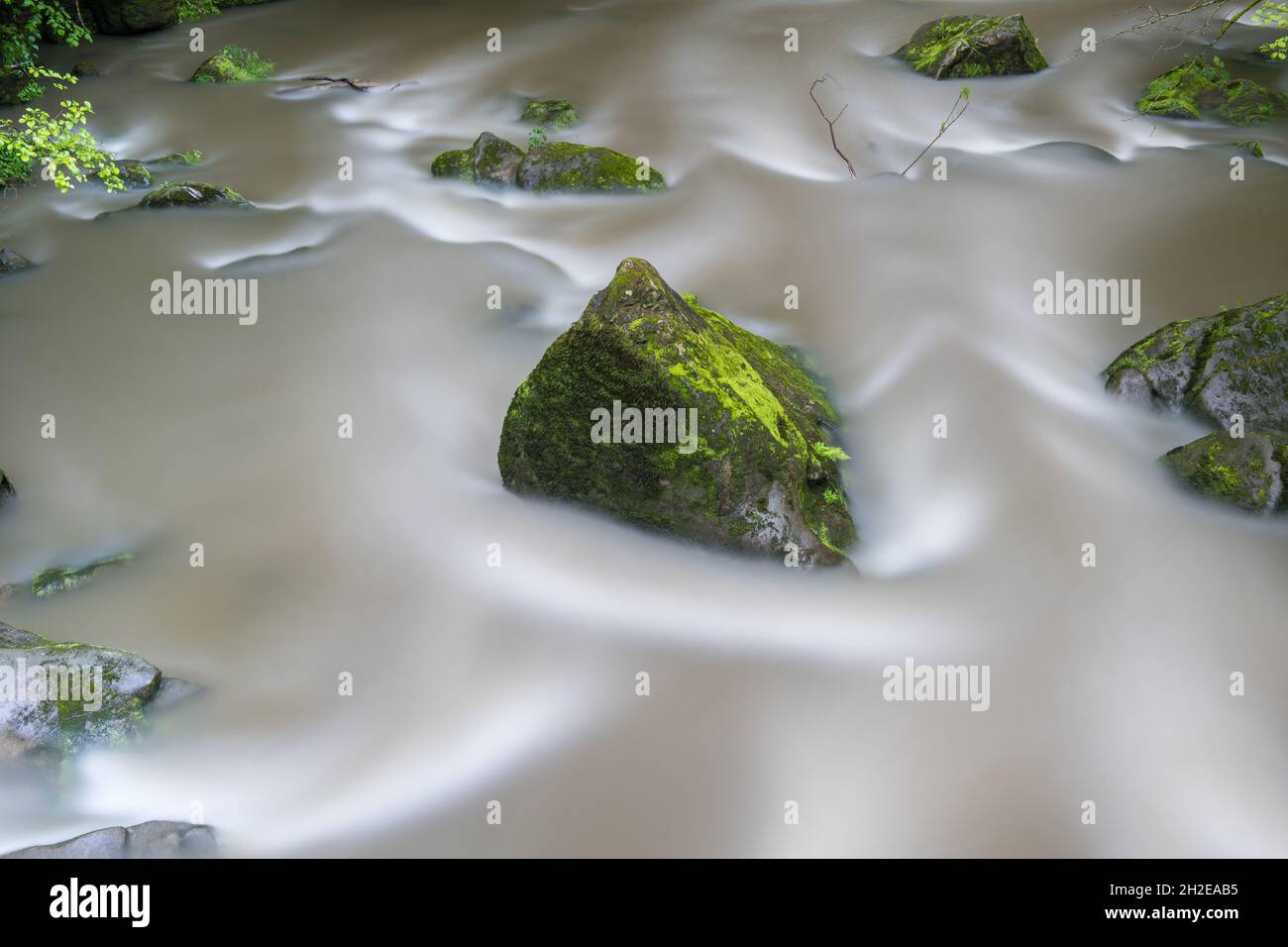 Abstraktes Bild eines leuchtend grünen Felsens in verschwommenem fließendem Wasser Stockfoto