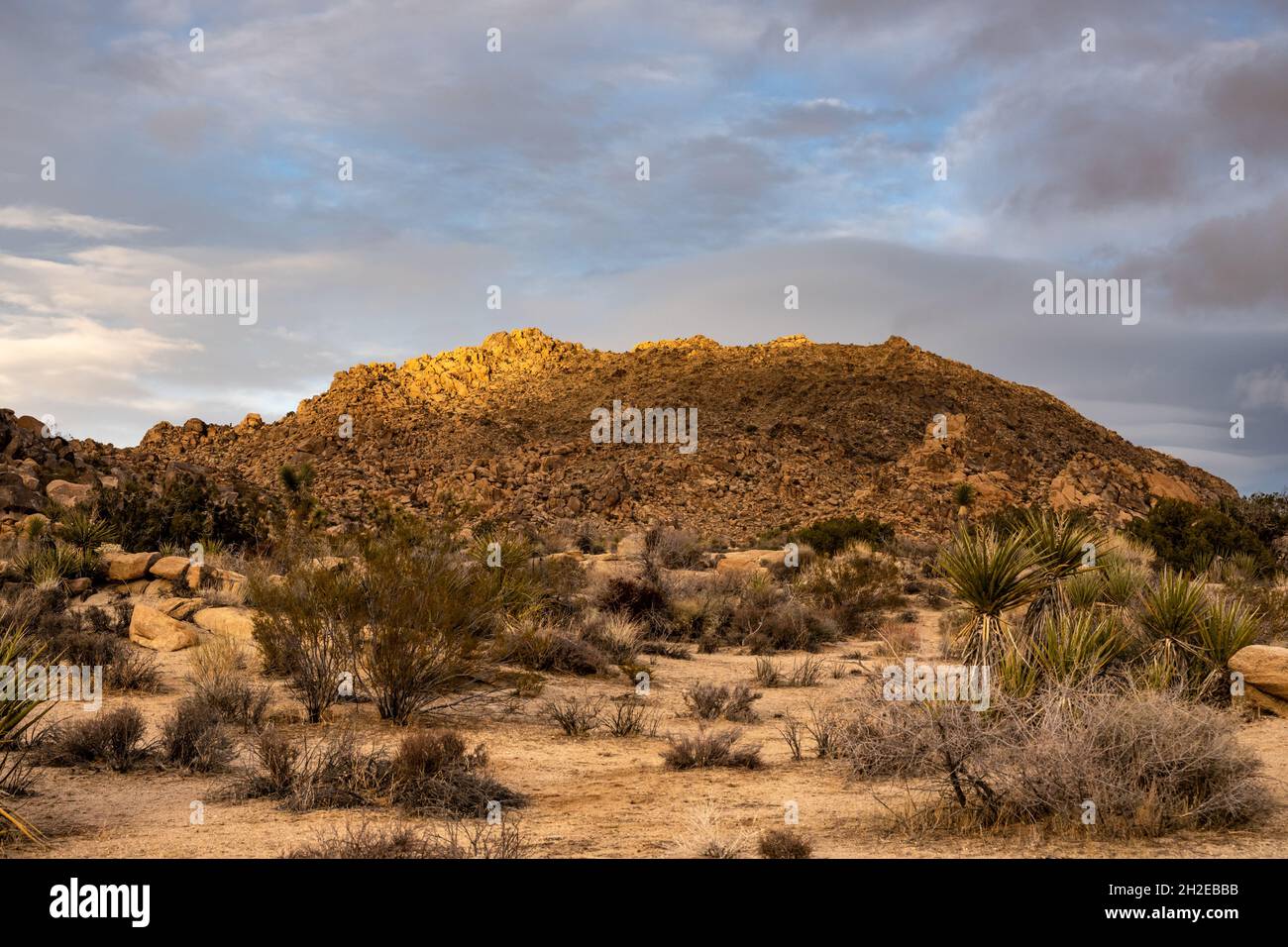 Schwaches Licht auf einem Rocky Hill im Joshua Tree National Park Stockfoto