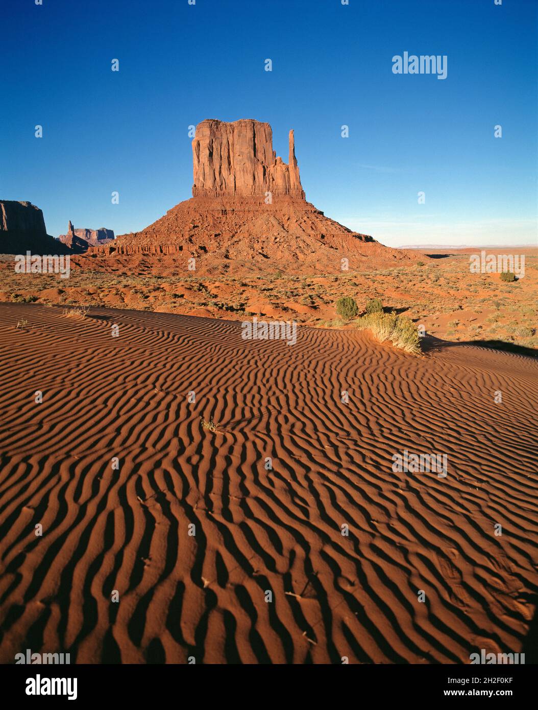 USA. Arizona. Monument Valley. West Mitten Butte und Sanddünen. Stockfoto