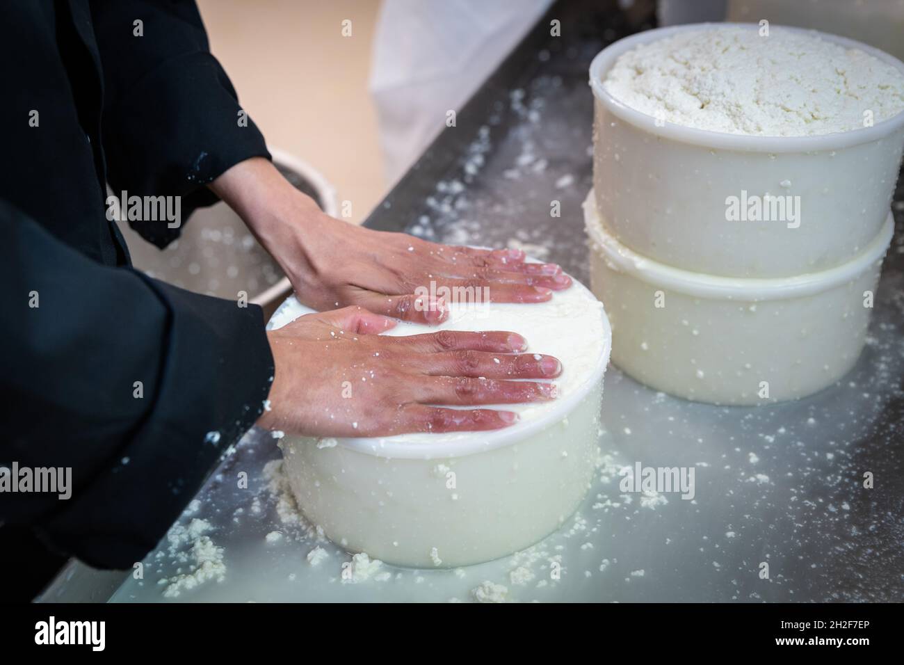 Käseherstellung in einer Werkstatt. Hände, die Käse machen, Nahaufnahme Stockfoto