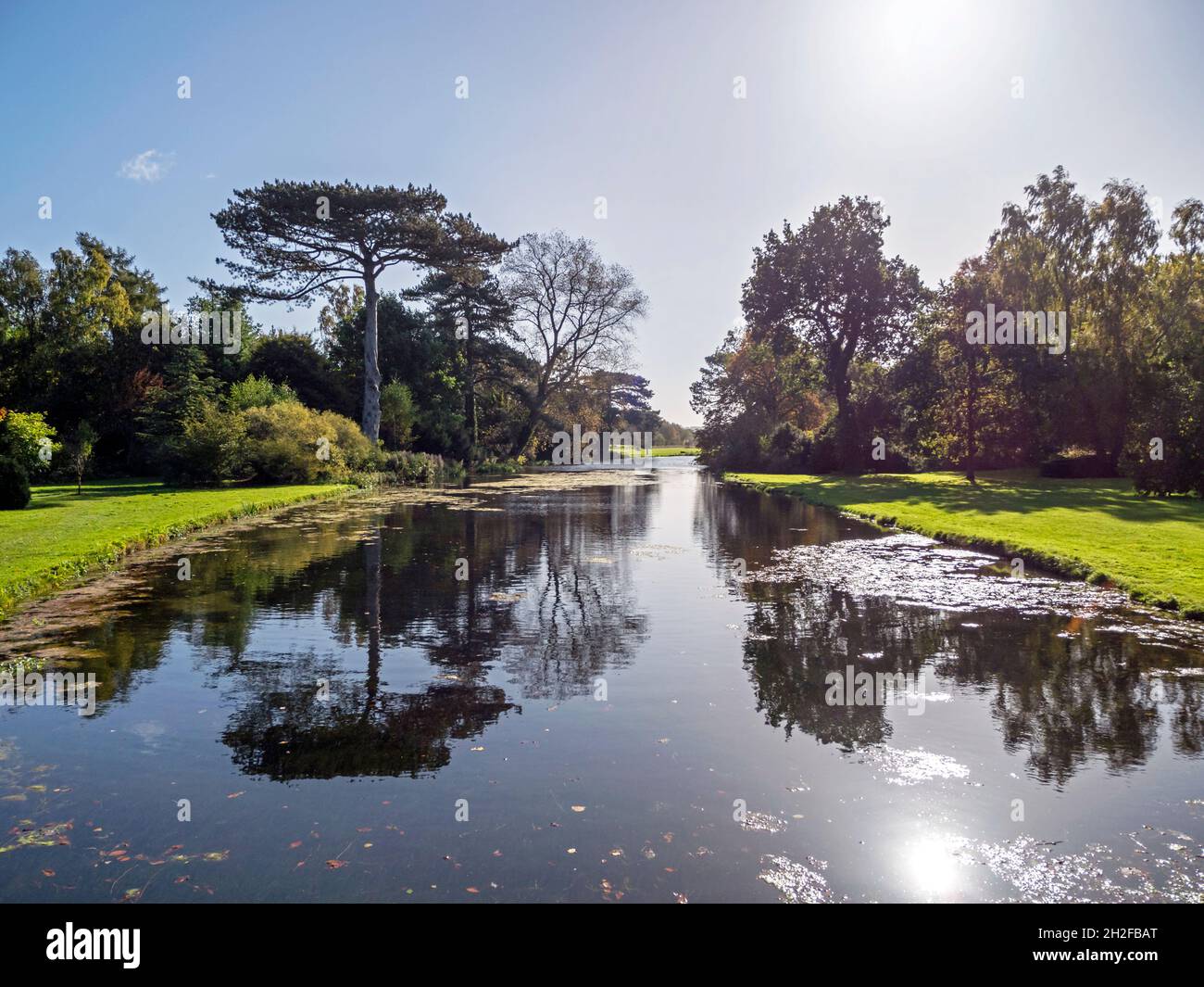 Schöne Bäume spiegeln sich in einem See in einem Park in Sonnenlicht Stockfoto
