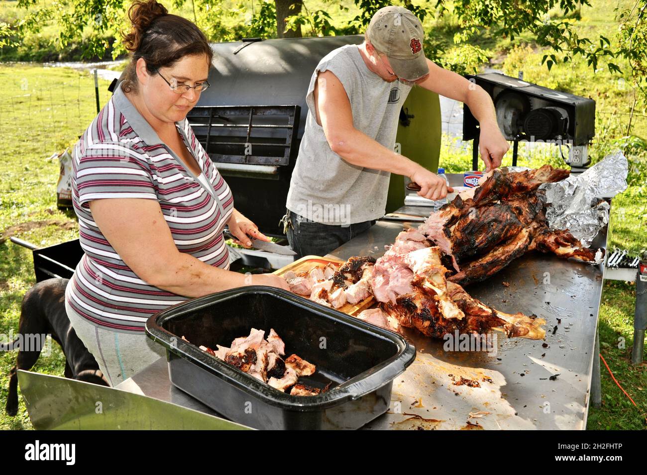 Schneiden und Schnitzen von Spieß-gebratenem Vollschwein auf einer Farm im Mittleren Westen, Blanchardville, Wisconsin, USA Stockfoto