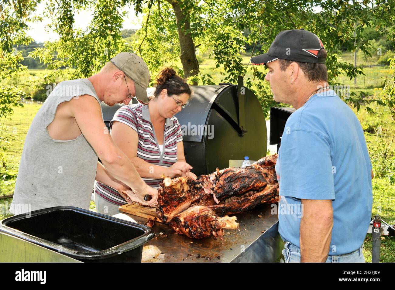Schneiden und Schnitzen von Spieß-gebratenem Vollschwein auf einer Farm im Mittleren Westen, Blanchardville, Wisconsin, USA Stockfoto