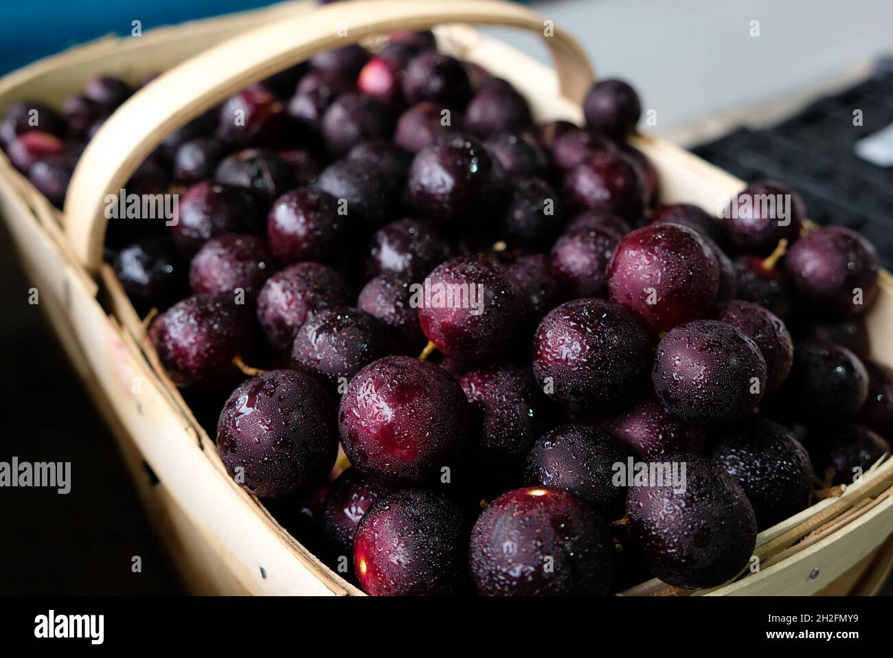 Bauernmarkt Muscadine-Trauben Stockfoto
