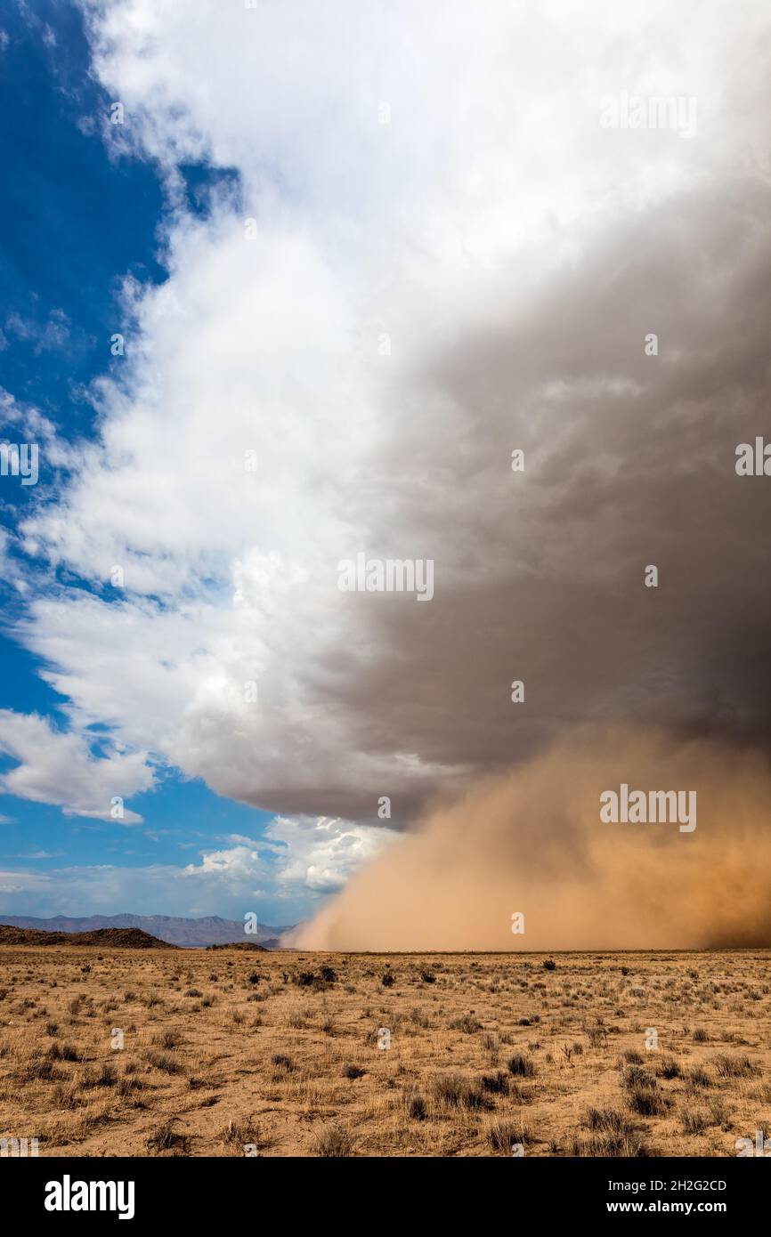 Ein haboob-Staubsturm in der Mohave-Wüste in der Nähe von Kingman, Arizona Stockfoto