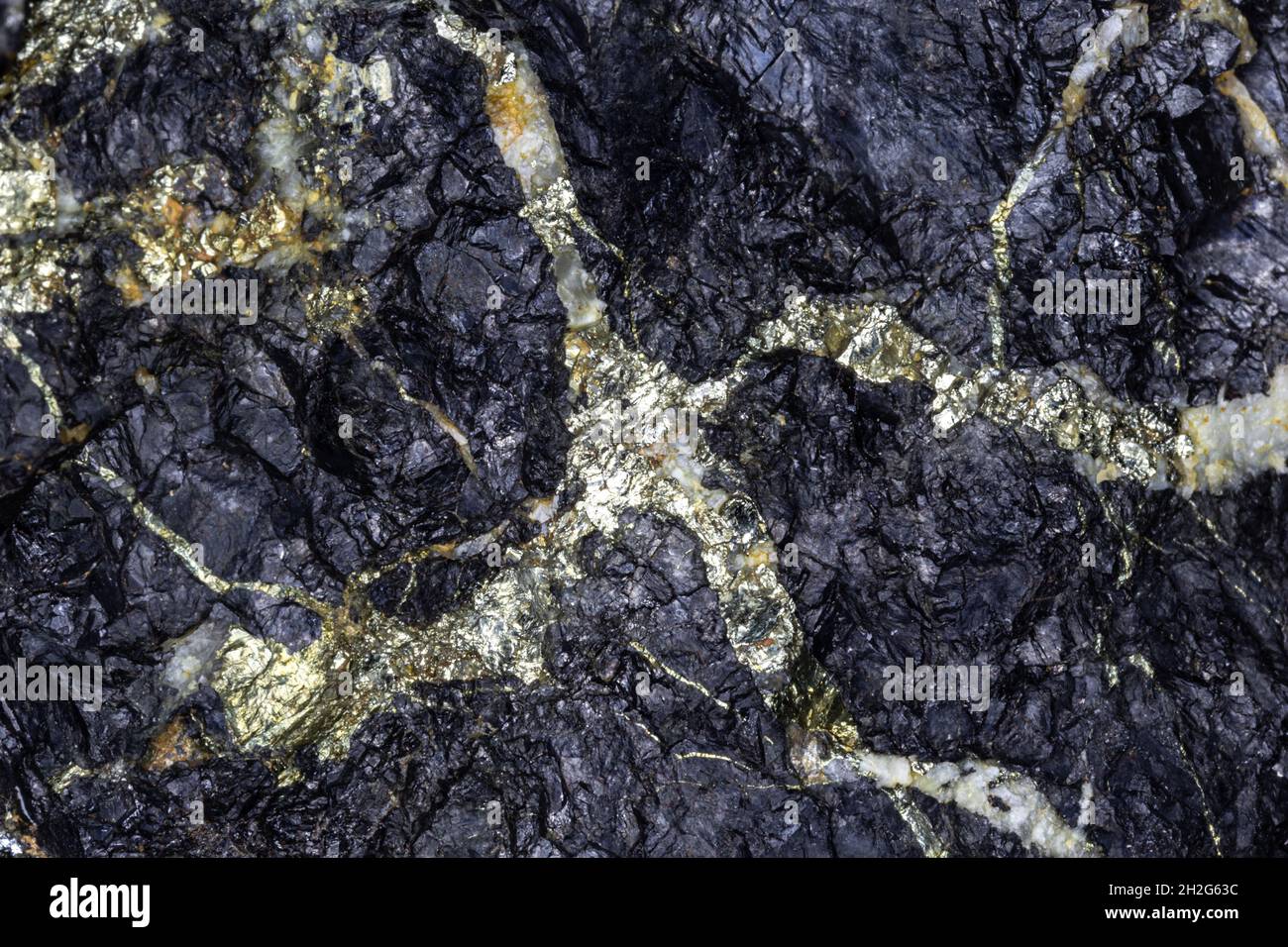 Goldenes Eisenpyrit (Gold des Narren), das ein geädertes Muster in einer Probe schwarzer Galena (Bleierz) erzeugt. Aus Chlorit, Arizona. Stockfoto